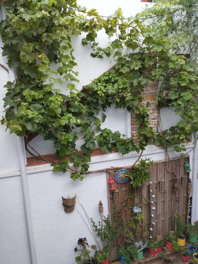 Apartamento Eg17 Arcos de la Frontera Eksteriør bilde